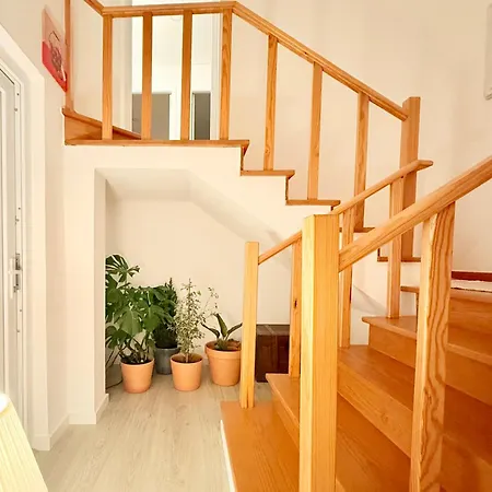 Monte Do Garnacho - In The Mountains Sertã