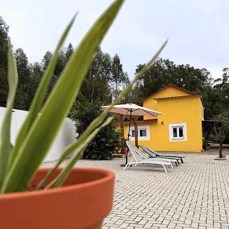 Monte Do Garnacho - In The Mountains Villa Sertã