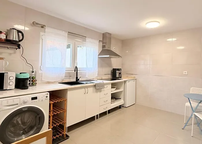 Monte Do Garnacho - In The Mountains Sertã